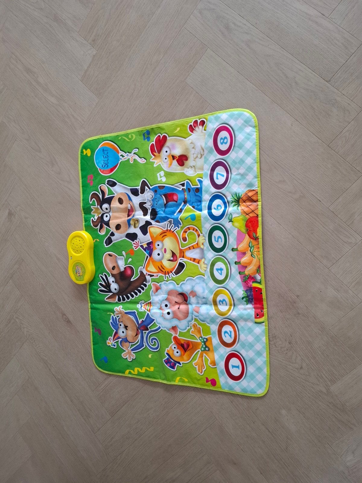 Interactieve Muziekmat voor Kinderen - Dans en Speel!, Ophalen