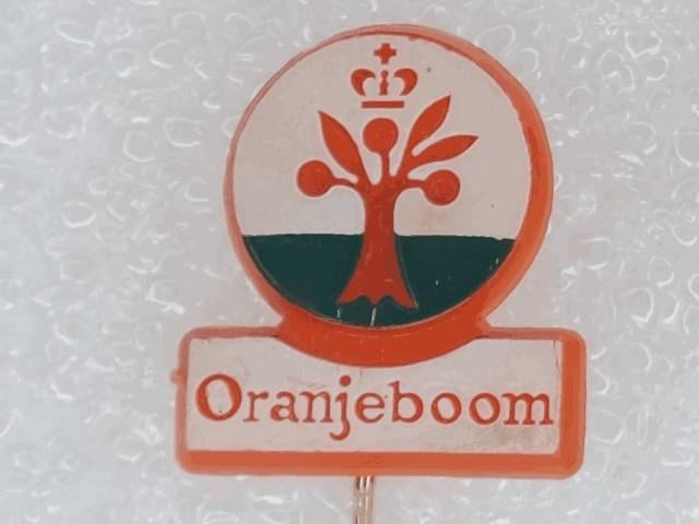 SP2084 Speldje Oranjeboom bier, Ophalen of Verzenden, Gebruikt, Overige onderwerpen