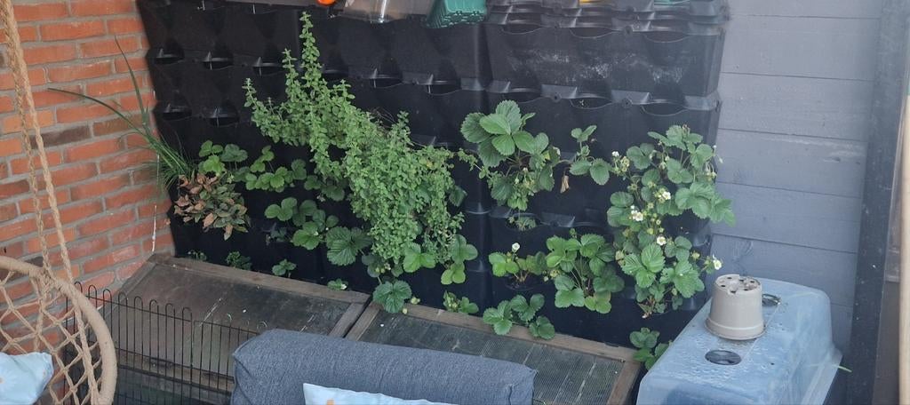 Plantenbakken, Tuin en Terras, Ophalen