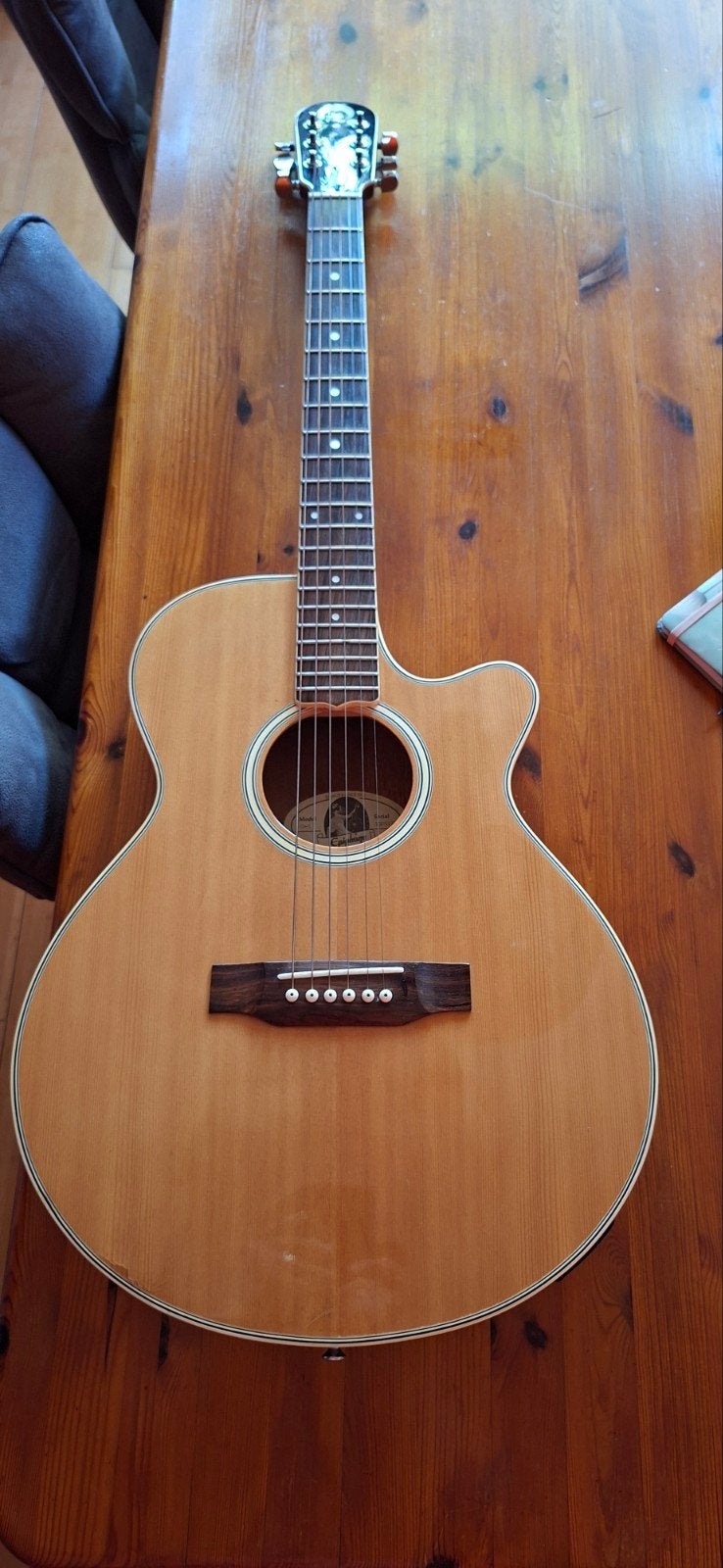 Epiphone, Muziek en Instrumenten, Ophalen, Gebruikt, Western- of Steelstringgitaar