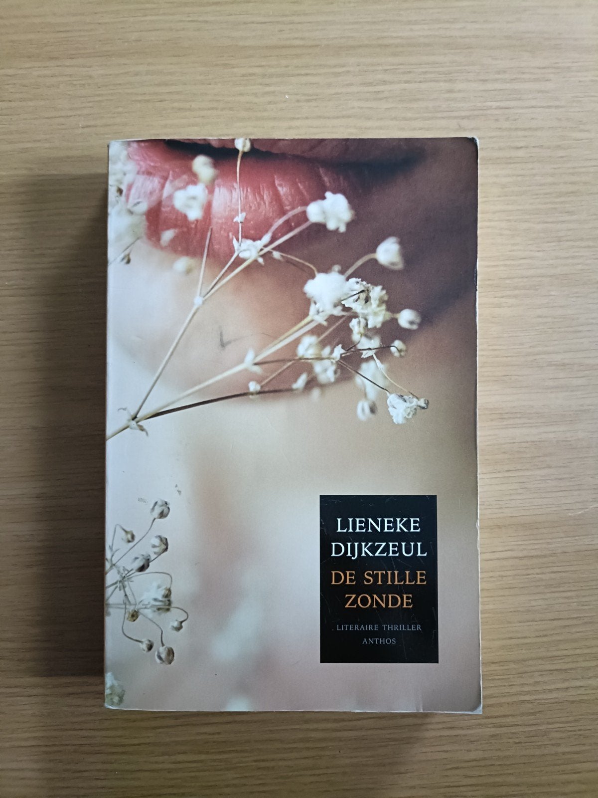 Lieneke Dijkzeul - De stille zonde, Ophalen of Verzenden, Zo goed als nieuw, Lieneke Dijkzeul