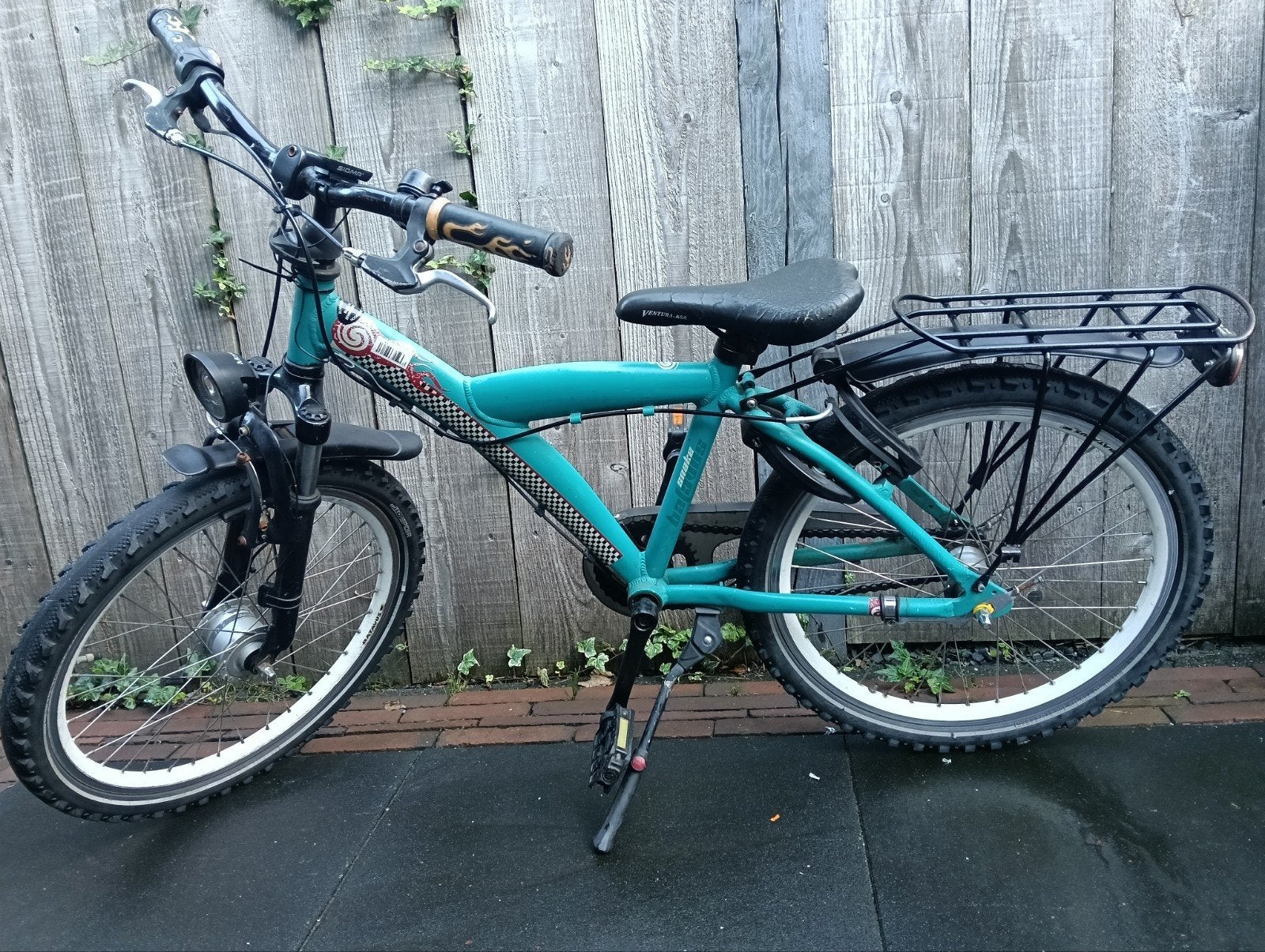 Batavus snake 22 inch, Ophalen