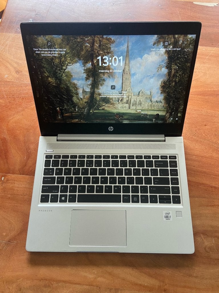 HP ProBook 450 G8 i5 10210 256gb 16GB i5 15.6 inch windows11, Computers en Software, Ophalen, Hp probook 450 G7, HP, Intel® Core™ i5-10210U (10th Generatie)