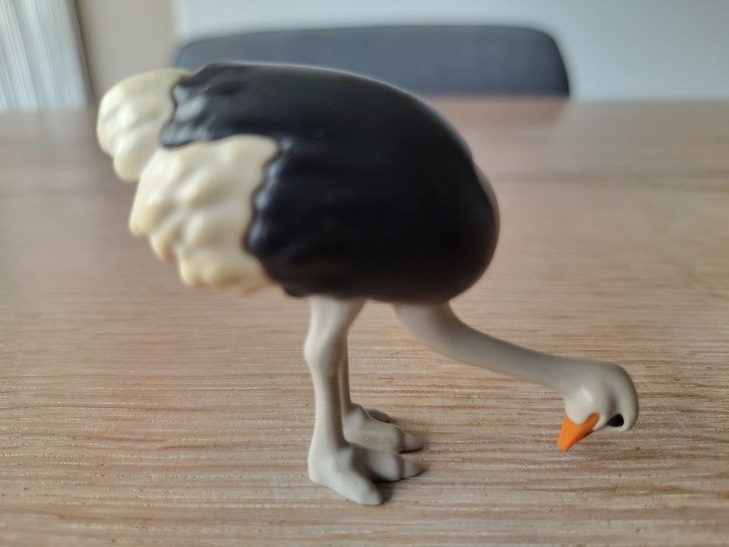Playmobil Struisvogel, Kinderen en Baby's, Speelgoed | Playmobil, Ophalen of Verzenden, Zo goed als nieuw