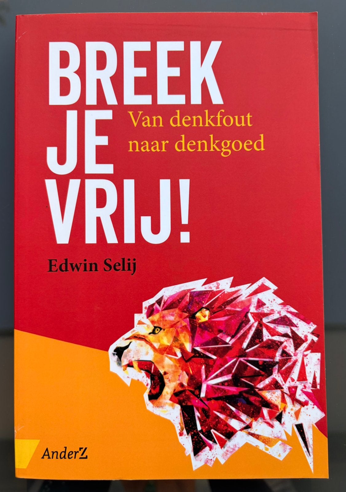 Edwin Selij - Breek je vrij!-Nieuw, Ophalen of Verzenden, Nieuw, Edwin Selij