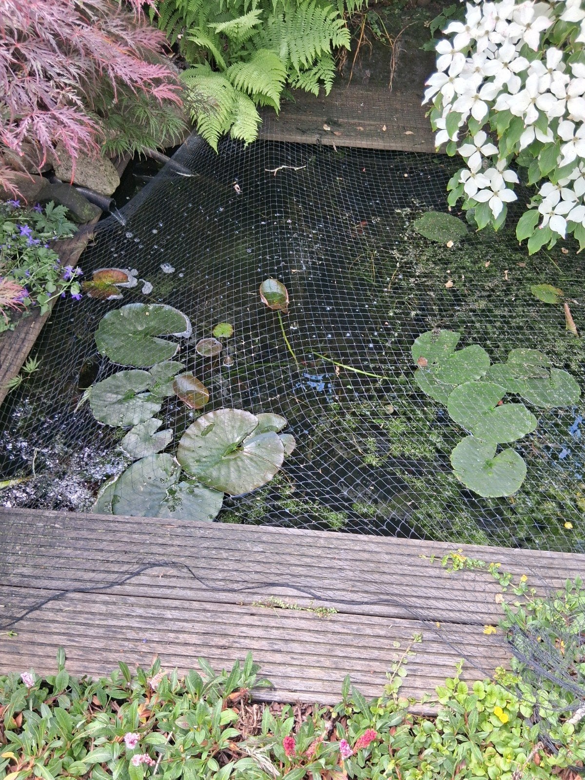 Vijver benodigdheden, Tuin en Terras, Vijvers, Ophalen