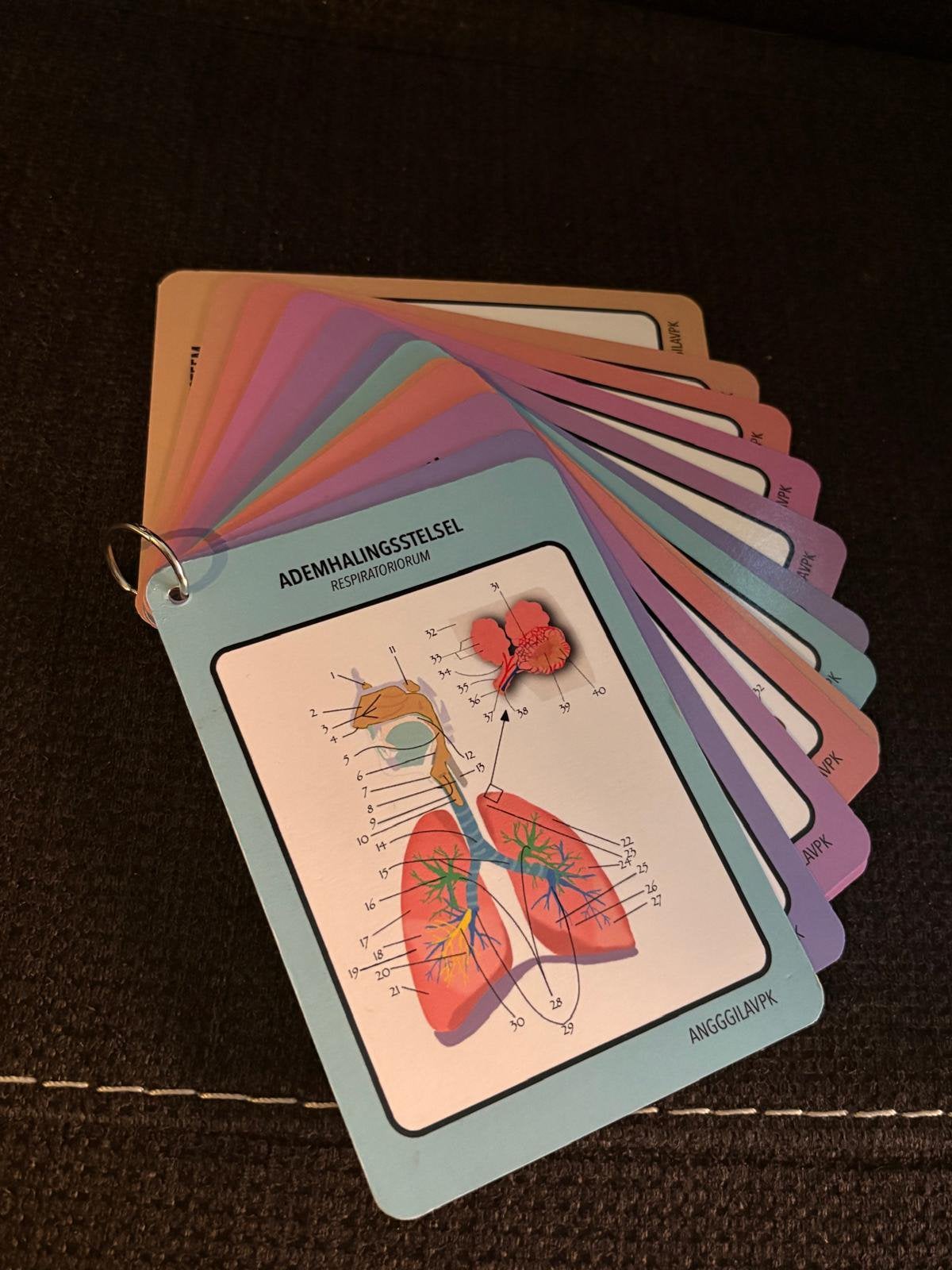 Handige items voor zorgprofessionals, Ophalen of Verzenden, Beta, Zo goed als nieuw, MBO