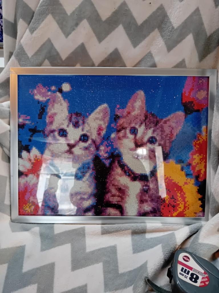 Diamond painting schilderij poesjes, Ophalen of Verzenden