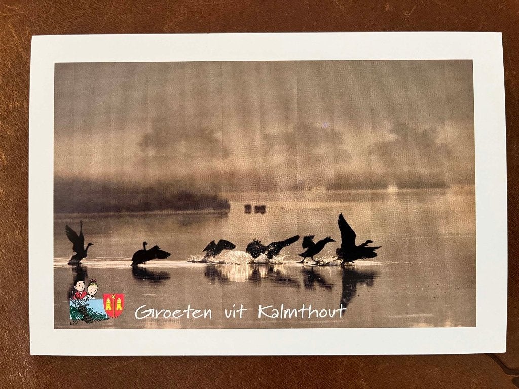 Ansichtkaart Suske en Wiske Kalmthoutse Heide 3, Verzenden, Suske en Wiske, Nieuw, Plaatje, Poster of Sticker