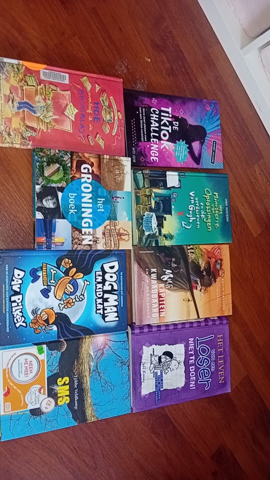 Diverse kinderboeken: Dog Man, Loser, TikTok Challenge, Boeken, Ophalen of Verzenden, Zo goed als nieuw