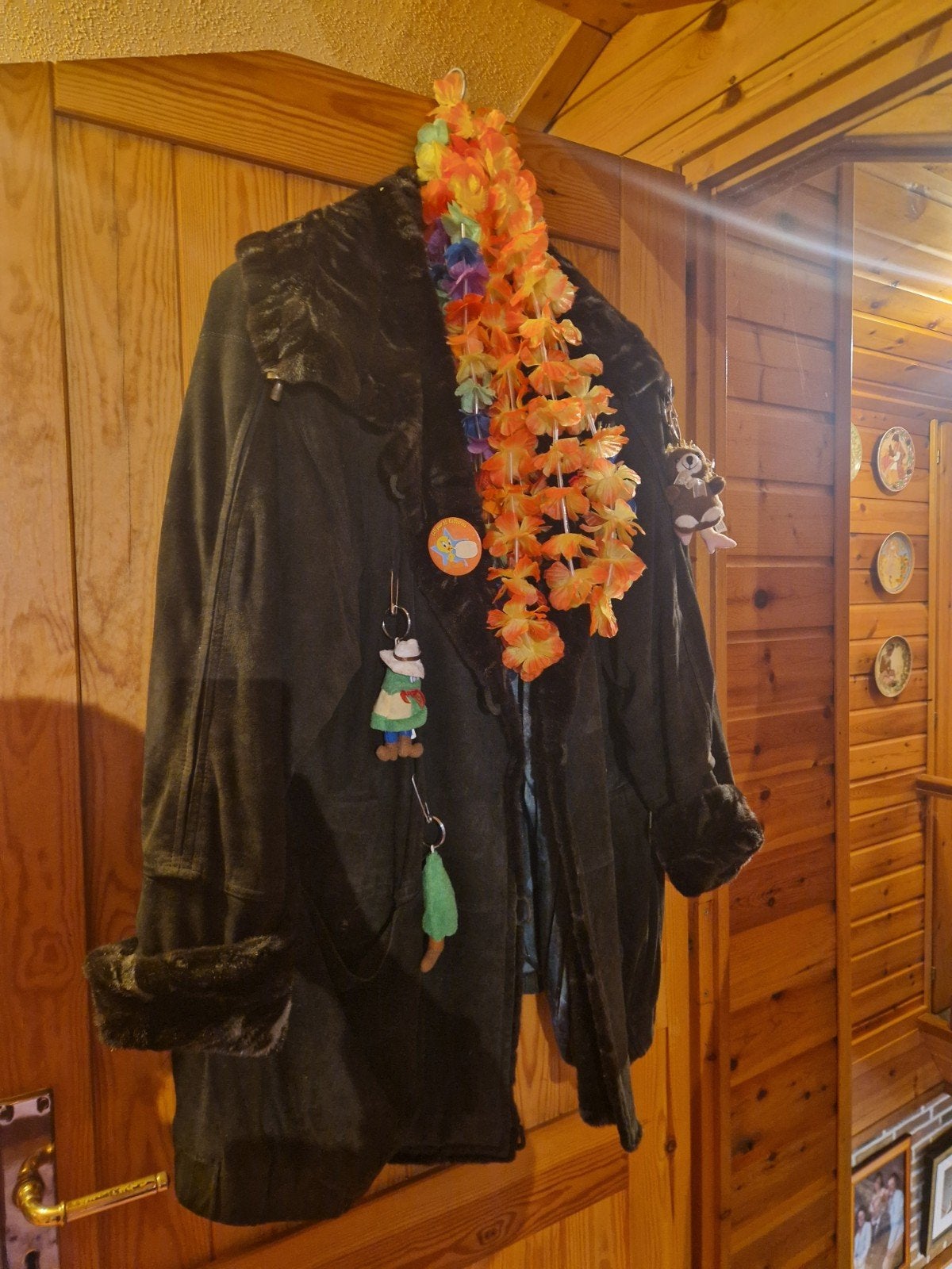 Vastenavond jas, Kleding | Dames, Carnavalskleding en Feestkleding, Ophalen of Verzenden, Zo goed als nieuw, Maat 46/48 (XL) of groter