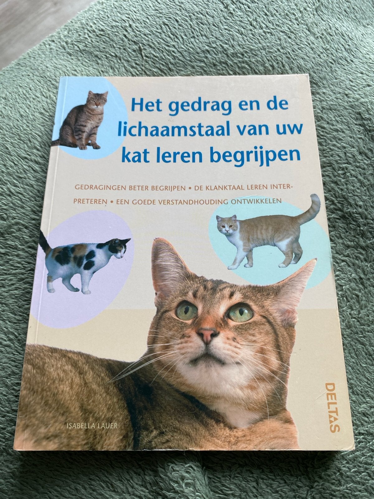Het gedrag en de lichaamstaal van uw kat leren begrijpen, Boeken, Dieren en Huisdieren, Ophalen of Verzenden, Zo goed als nieuw