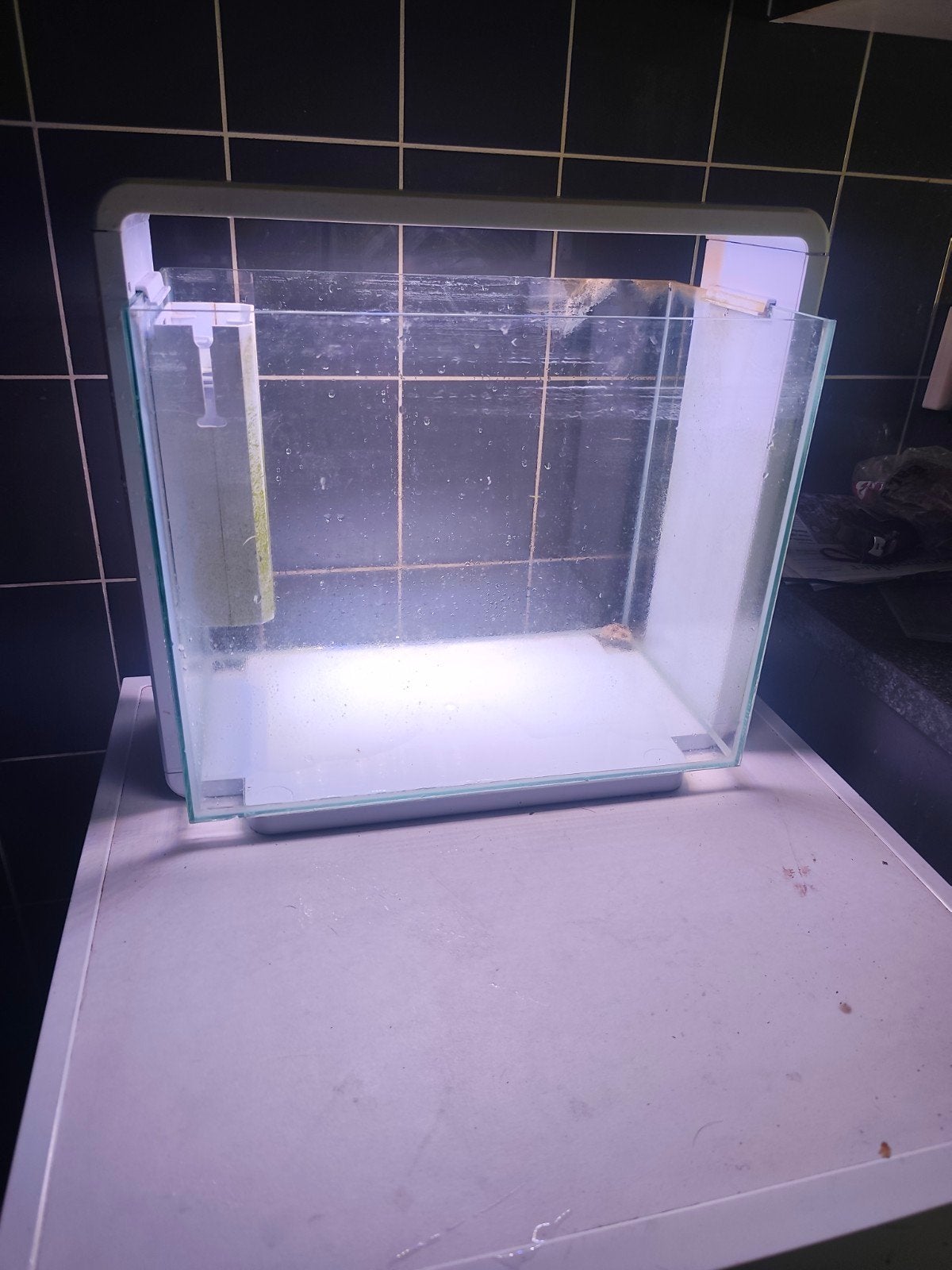 Aquarium leuk en niet te groot, Vis