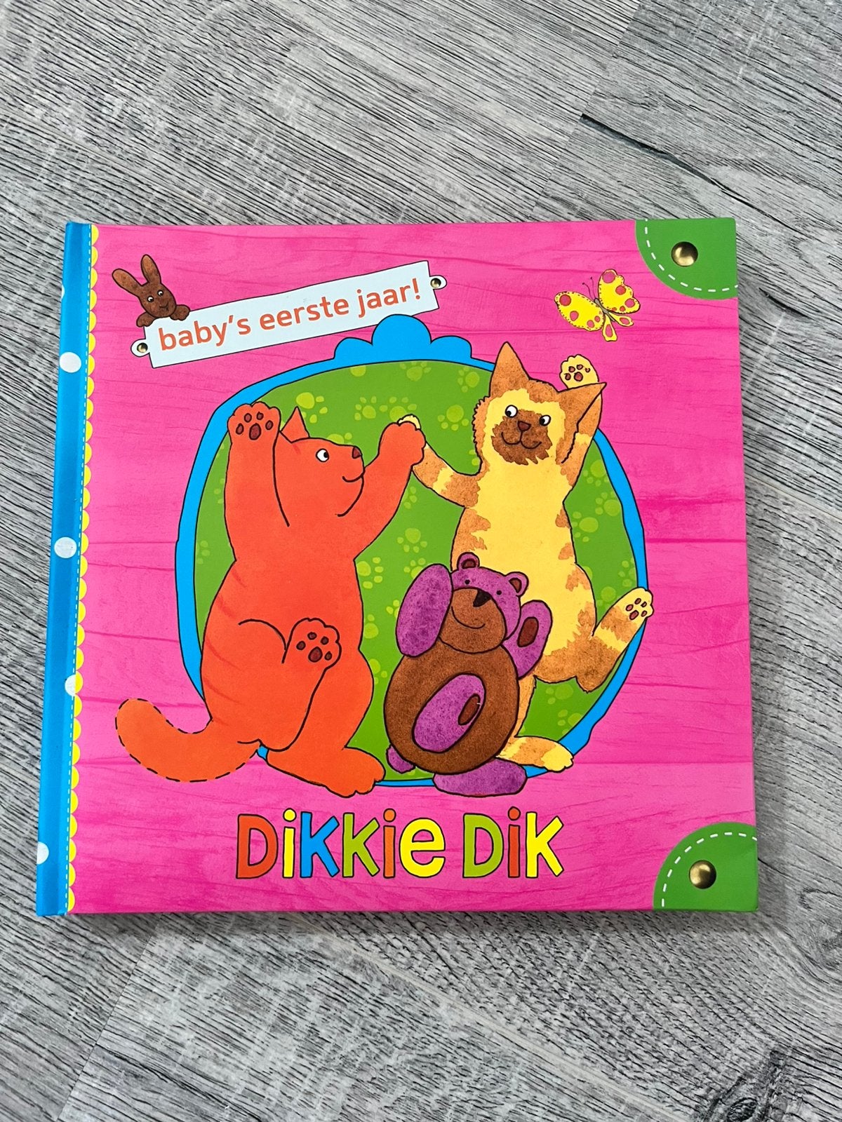 Dikkie dik baby’s eerste jaar, Ophalen of Verzenden, Nieuw
