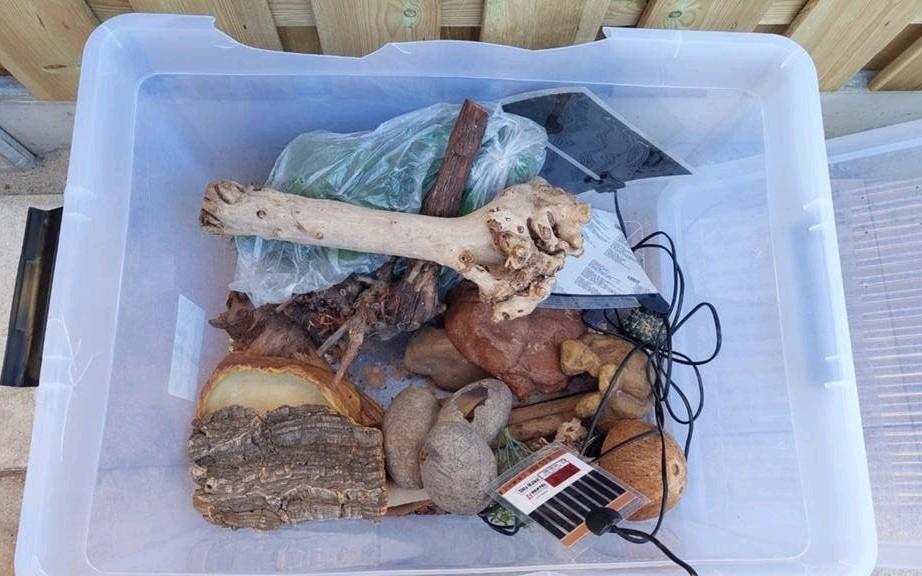 Grote bak met terrarium spullen. Holletjes, drinkbakken etc., Ophalen, Gebruikt, Tak, Plant, Rots of Steen