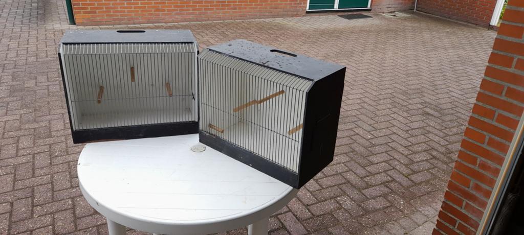Tentoonstellingskooien vogels, Dieren en Toebehoren, Ophalen, Hout, Vogelkooi