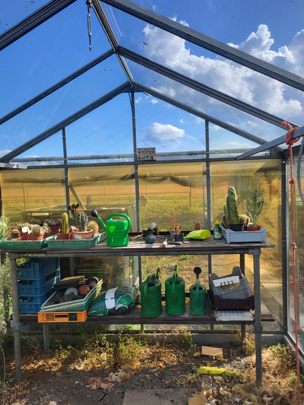 Ruime Kweekkas met Aluminium Frame en Glazen Panelen, Tuin en Terras, Kassen, Gebruikt, Kweekkas, Glas, Ophalen