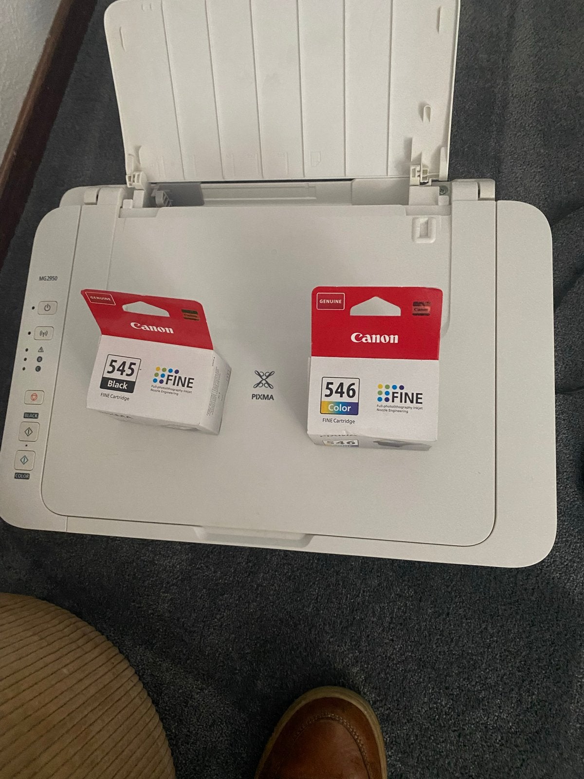 Canon Inktcartridges PG-545 Zwart & CL-546 Kleur, Computers en Software, Ophalen of Verzenden, Nieuw, Cartridge