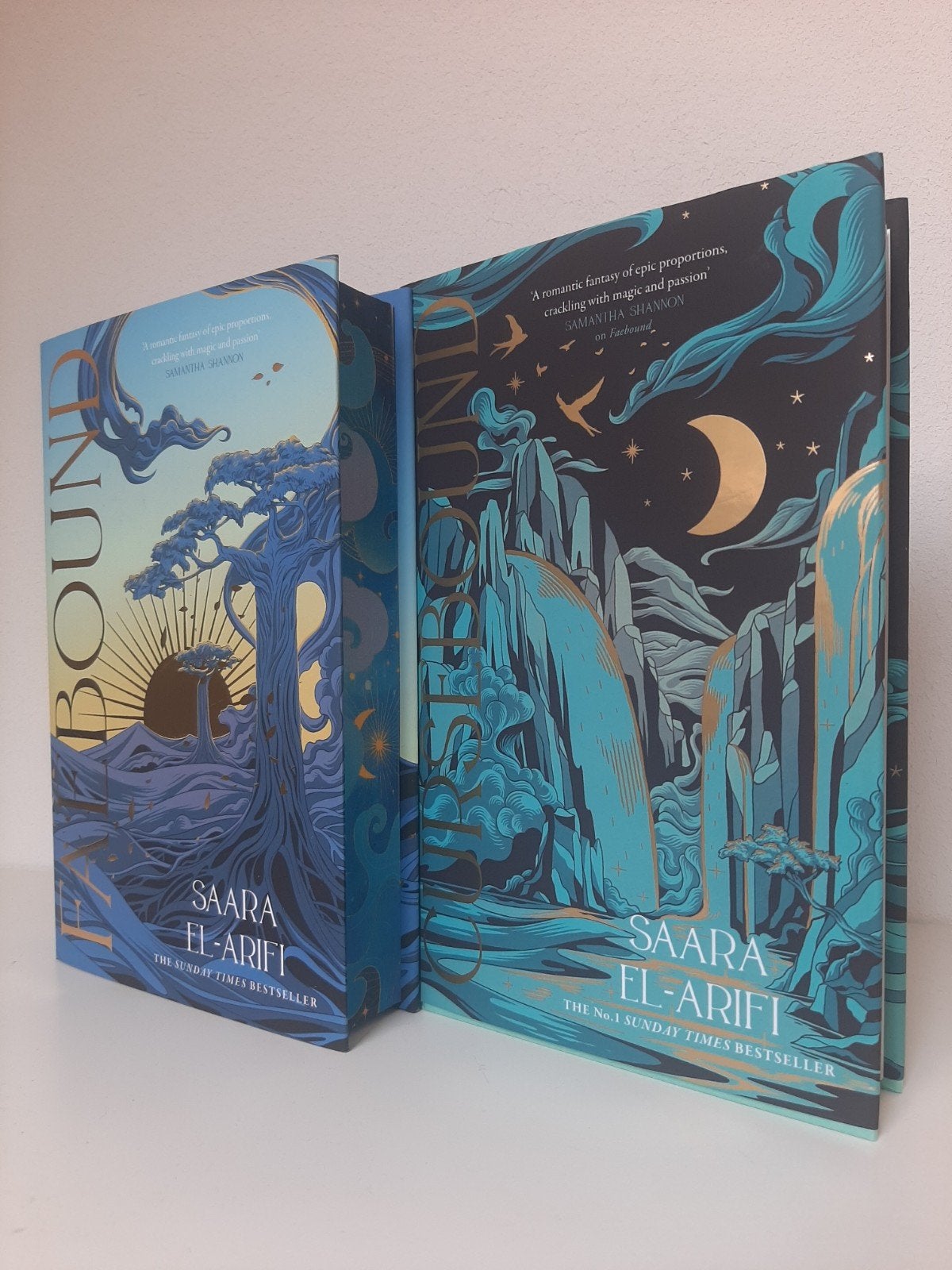Faebound fairyloot, Boeken, Ophalen of Verzenden, Zo goed als nieuw