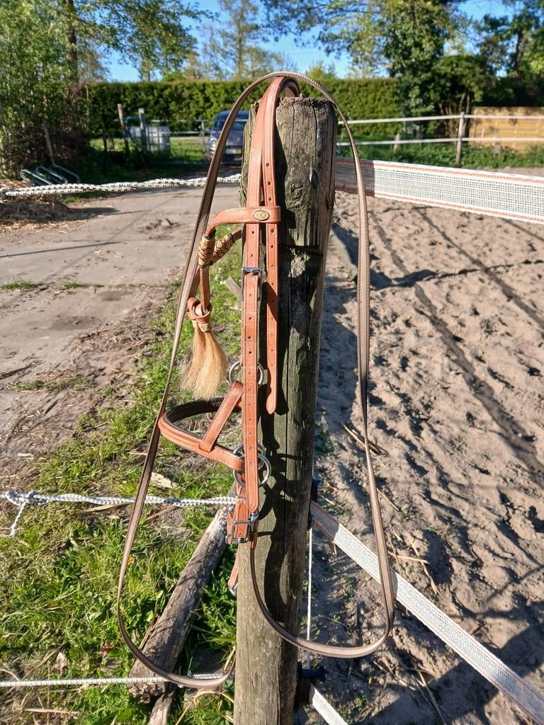 Nieuw bitloos hoofdstel