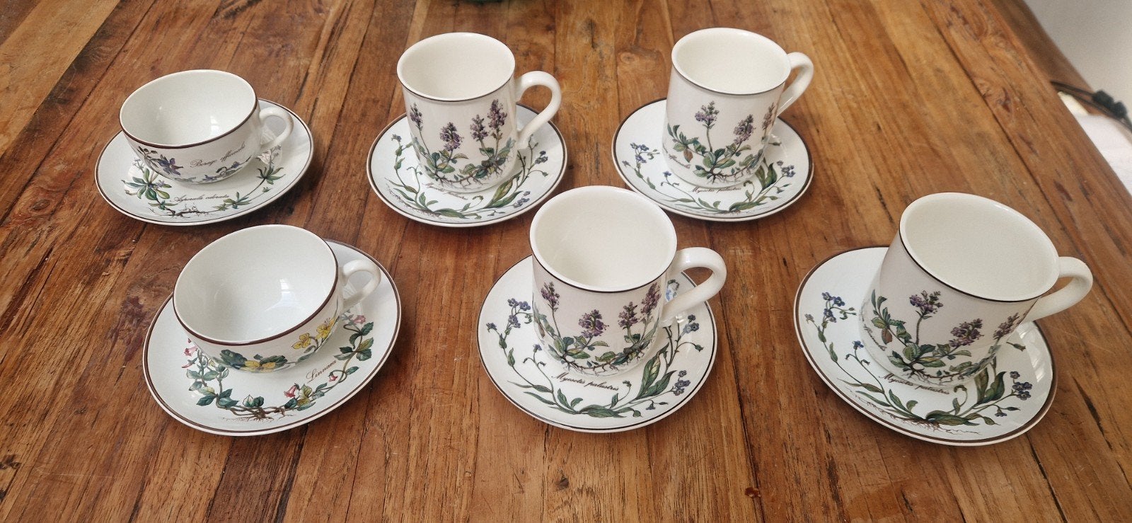 Villeroy & Boch Botanica: 6 antieke kopjes met schotels, Ophalen of Verzenden
