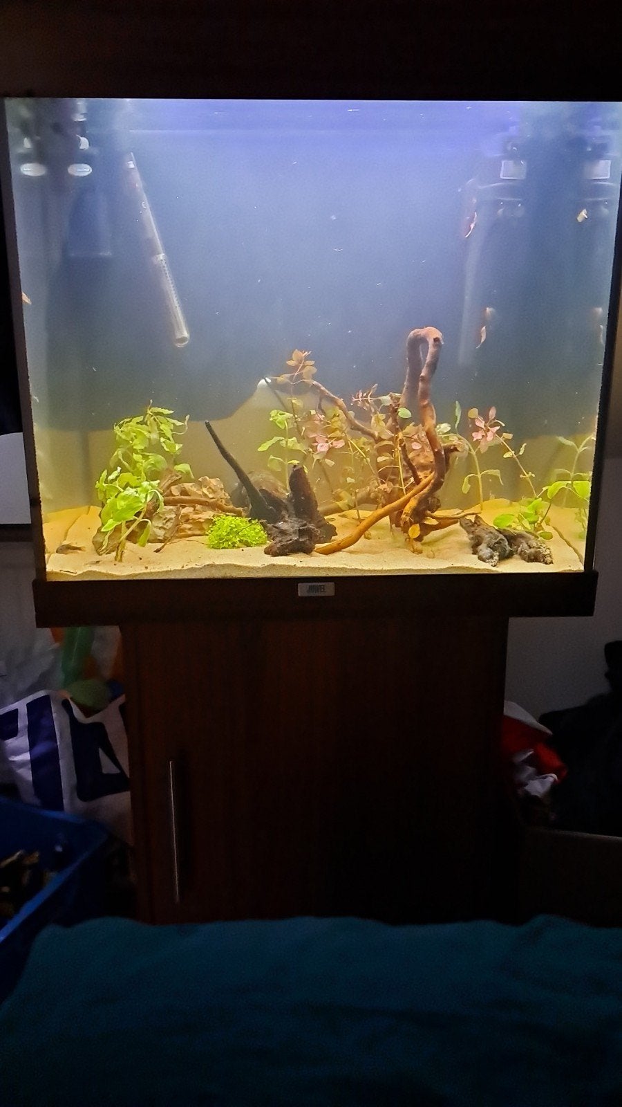aqaurium lidio 120, Dieren en Toebehoren, Ophalen