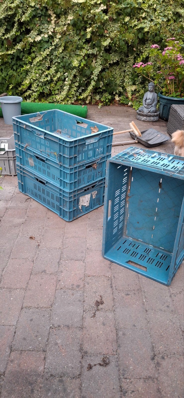 Kratten, Ophalen, 40 tot 60 cm, 50 tot 75 cm, Minder dan 35 cm