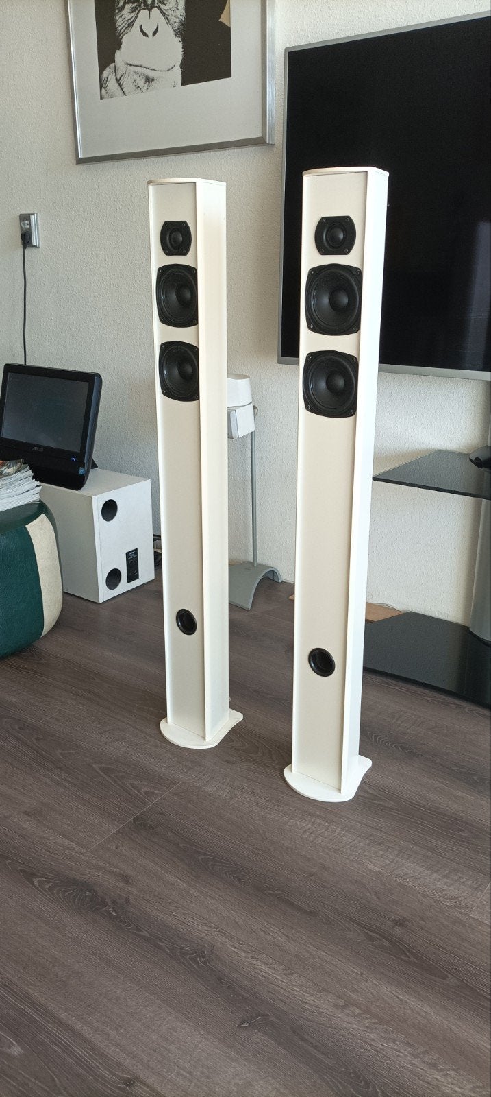 Piega Tmicro5 boxen, Audio, Tv en Foto, Luidsprekers, Gebruikt, Stereo speakers, 60 tot 120 watt, Overige merken, Ophalen