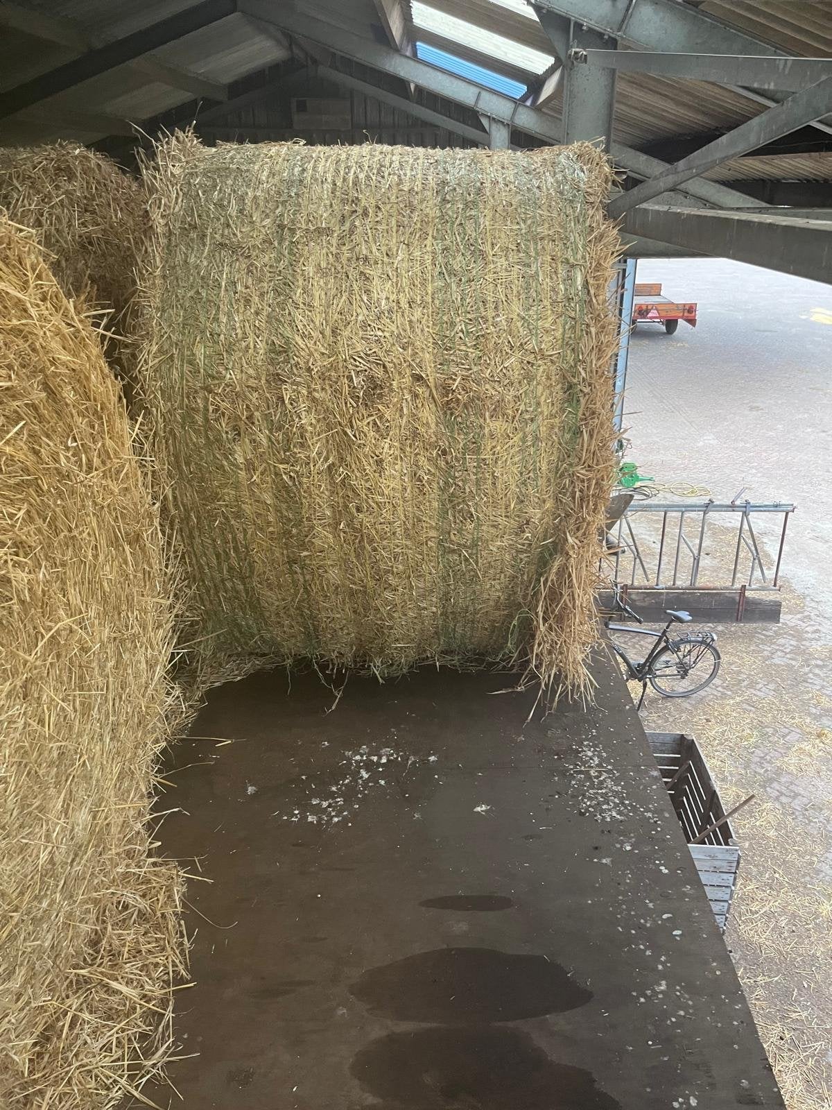 Grote ronde balen gerste stro - 160 cm doorsnede, Dieren en Toebehoren, Ophalen of Verzenden