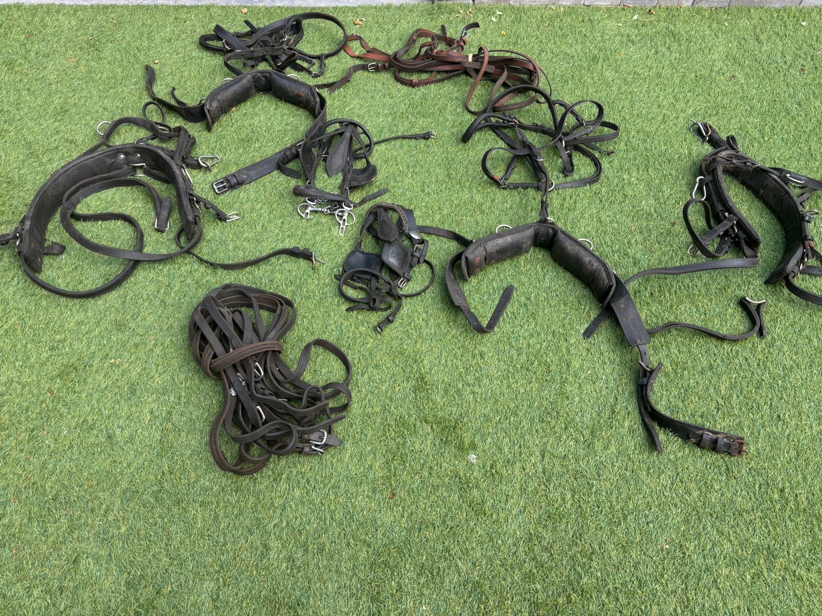 Dubbele mentuig set ( kleine pony’s), Ophalen, Mentuig, Mini