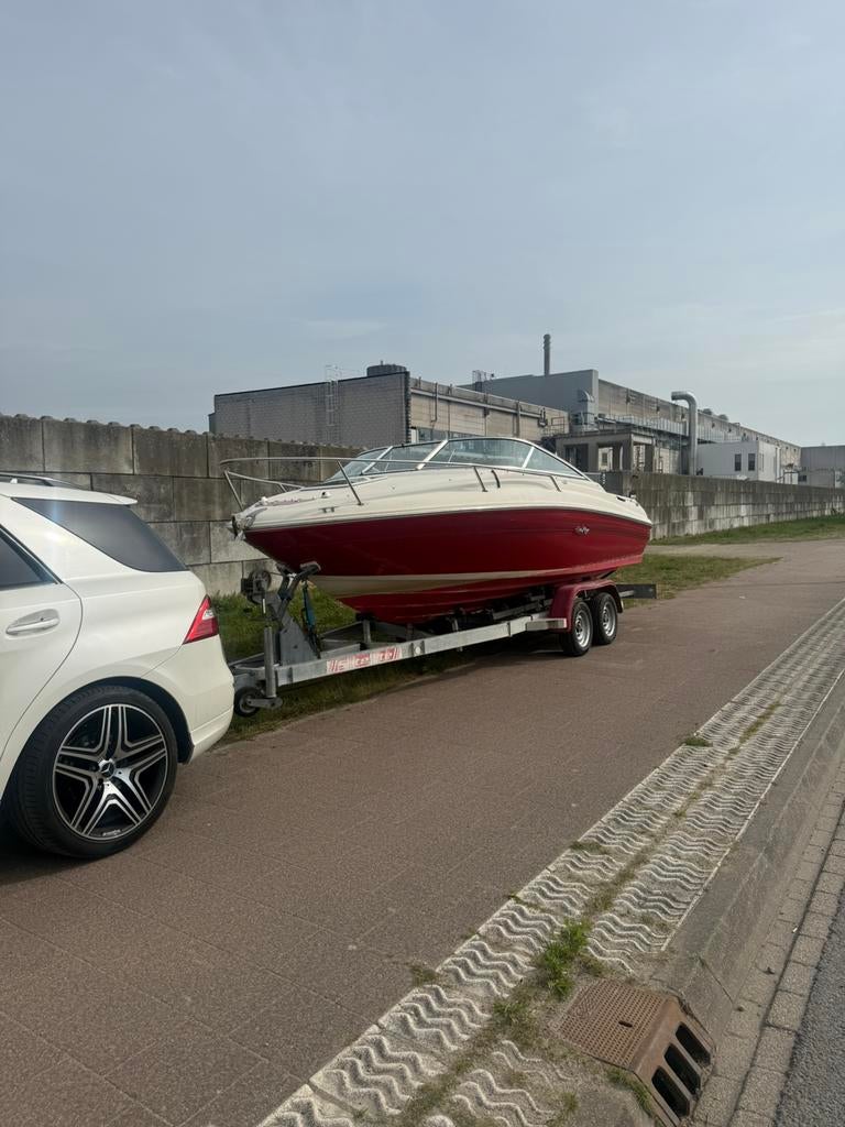 Sea Ray Cuddy - Perfect voor dagtochten en watersport, Watersport en Boten, Motorboten en Motorjachten, Gebruikt, Ophalen of Verzenden
