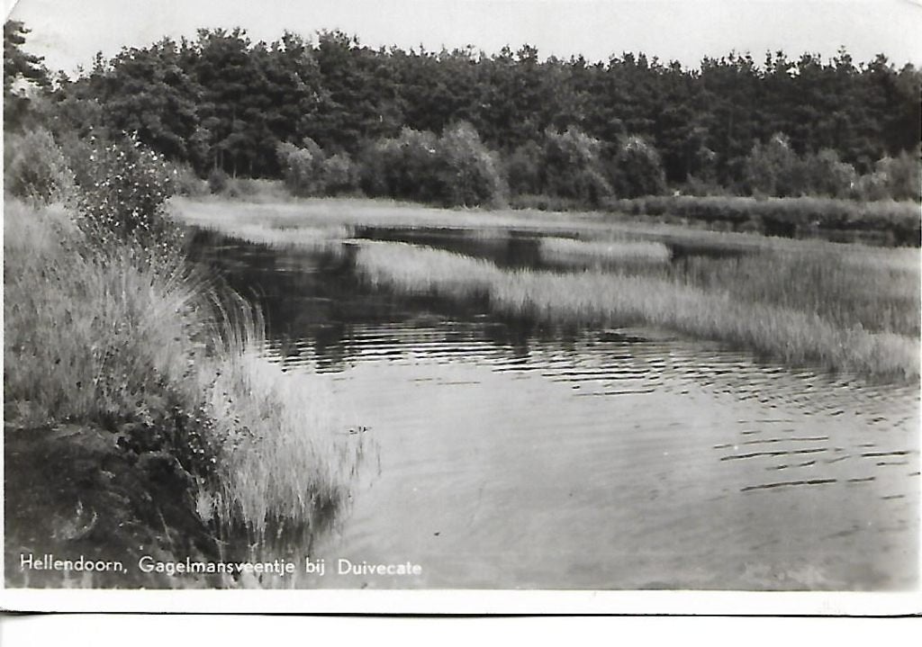 Hellendoorn- -Gagelmansveentje., Ophalen of Verzenden, 1940 tot 1960, Gelopen, Overijssel