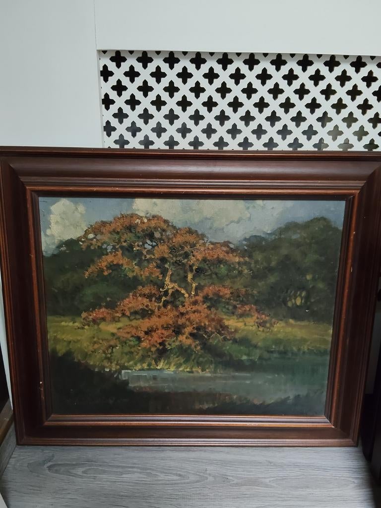 Schilderij: Herfstboom aan het water, Ophalen of Verzenden