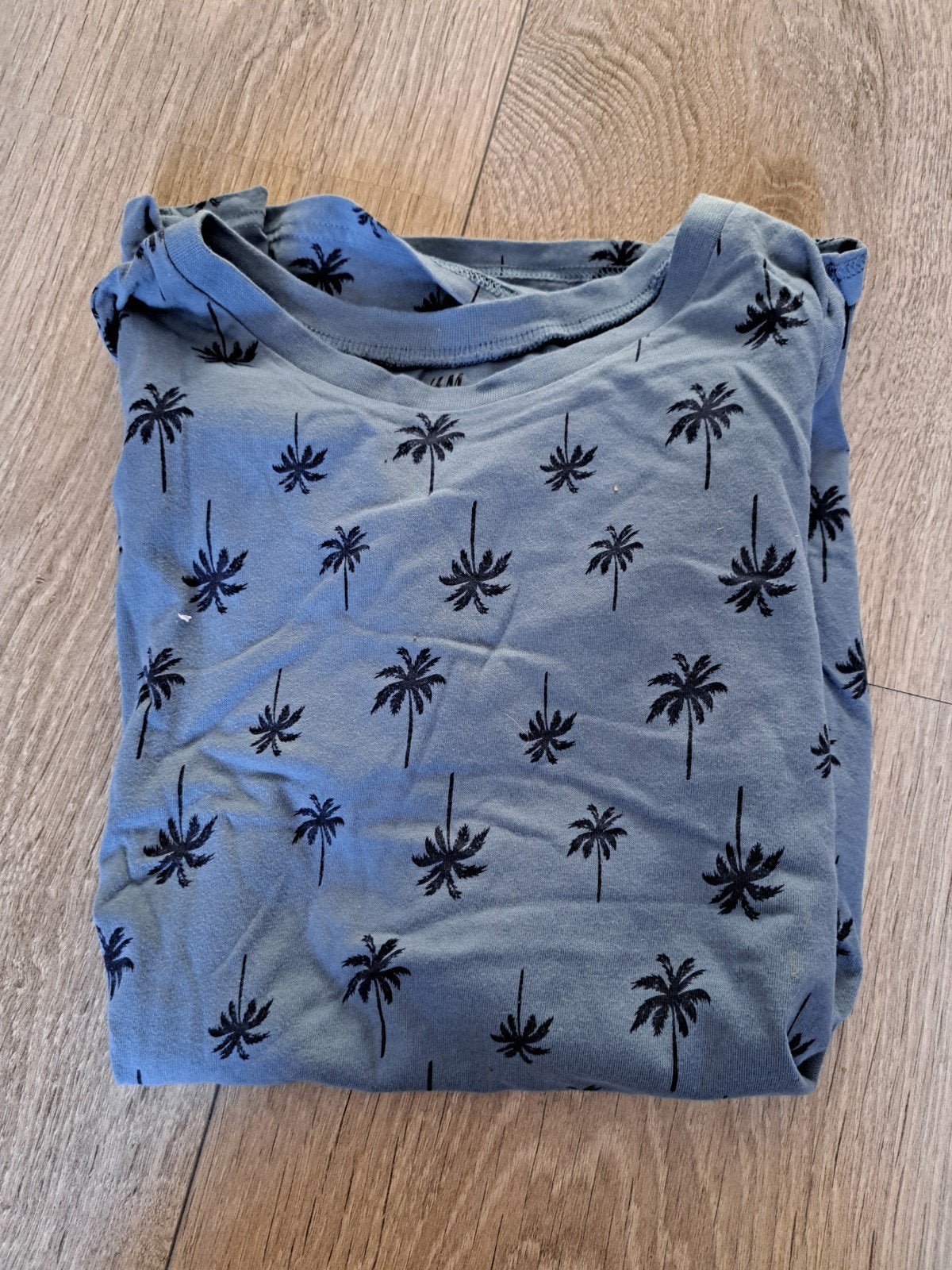 Diverse T-shirts maat 170 / 176, Kinderen en Baby's, Kinderkleding | Maat 170, Ophalen of Verzenden, Jongen, Shirt of Longsleeve