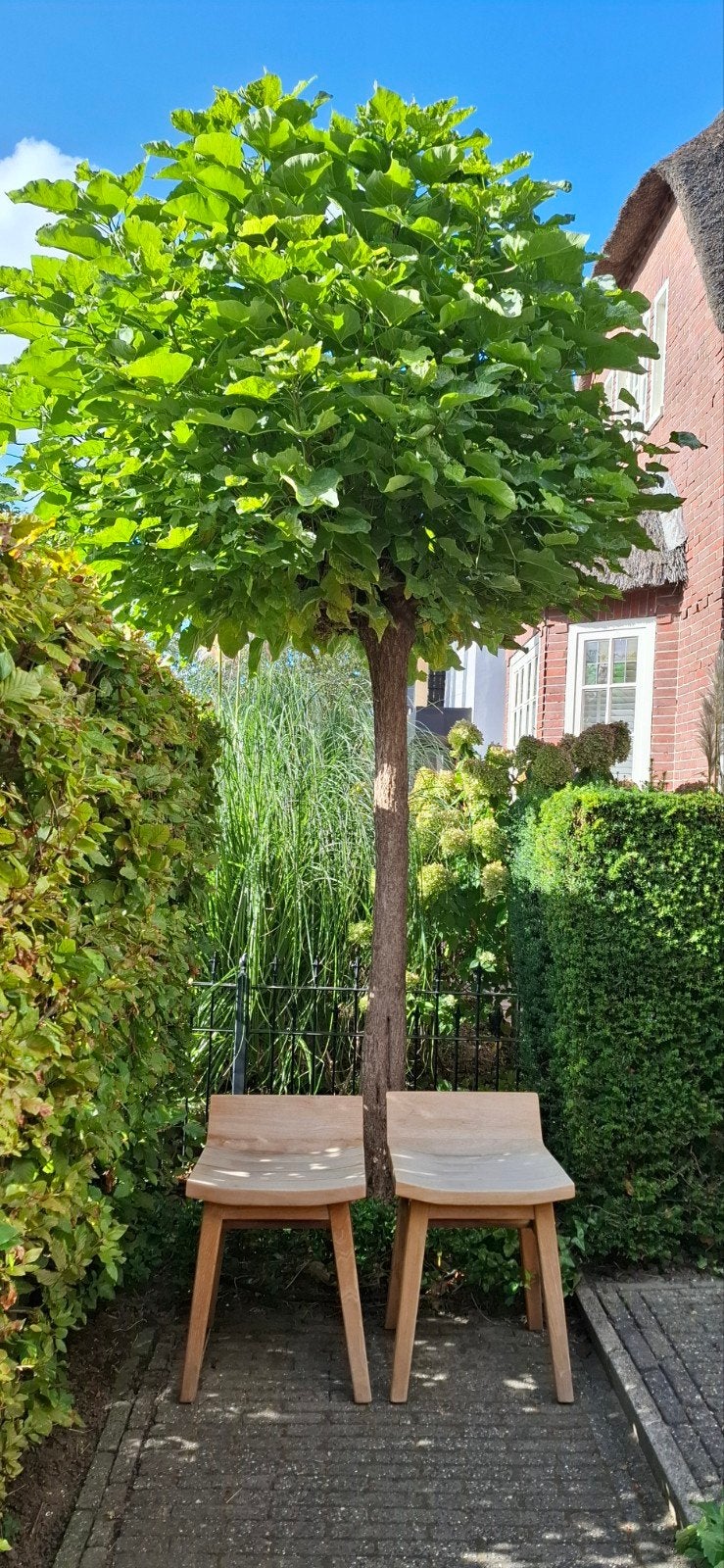 Hoffz houten stoelen voor zowel binnen als buiten, Overige kleuren, Ophalen of Verzenden, Zo goed als nieuw, Vier