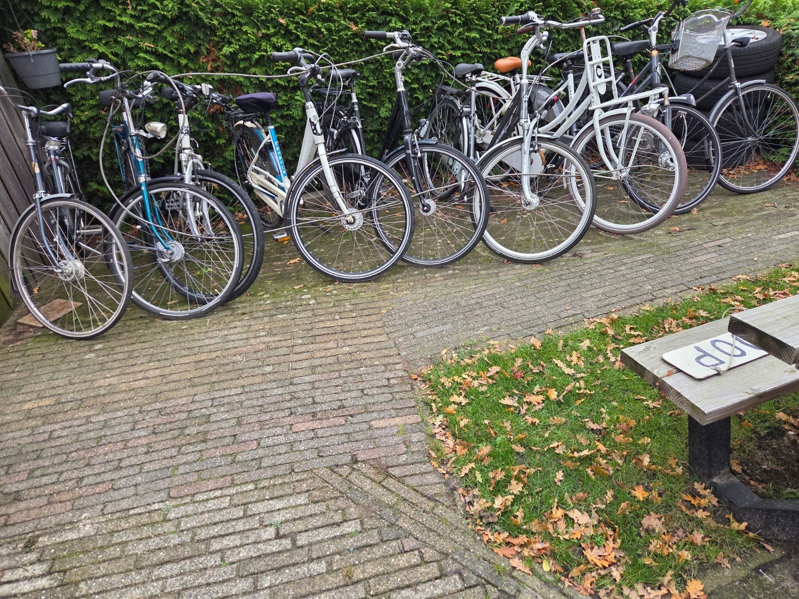 Gebruikte fietsen met terugtraprem en versnellingen, Fietsen en Brommers, Ophalen, Terugtraprem, Gebruikt, Versnellingen