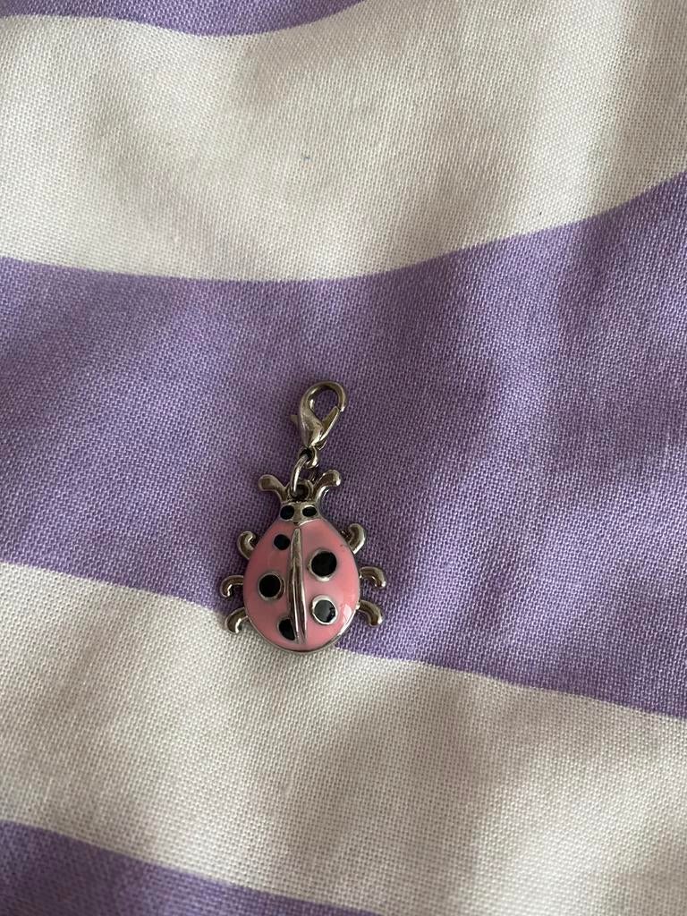 Lieveheersbeestje bedeltje, Ophalen of Verzenden, Gebruikt