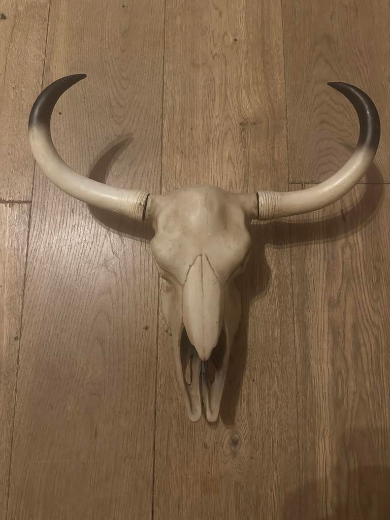 Decoratieve dierenkop Kunststof, Gebruikt, Beige, Kunststof, Ophalen of Verzenden
