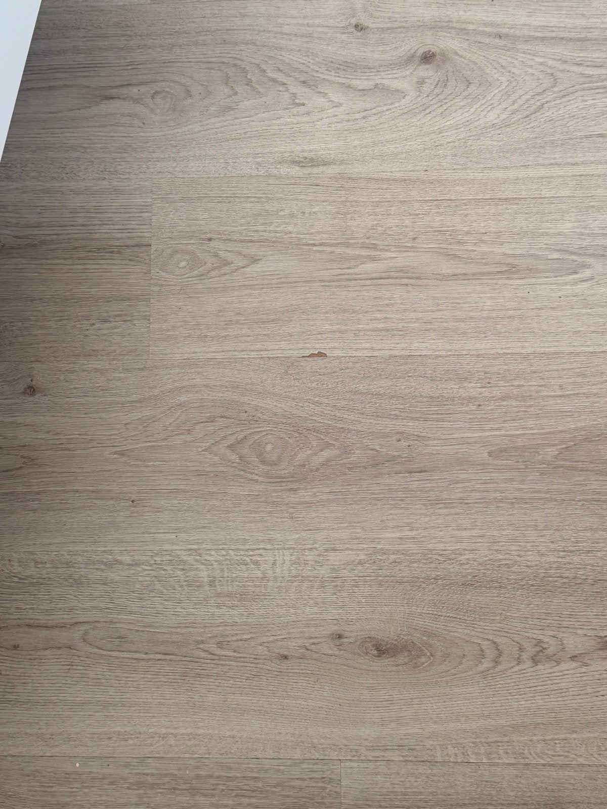 Light Oak Laminate Flooring – Natural Wood Look, Ophalen, 60 cm of meer, Minder dan 5 m², Wandtegels