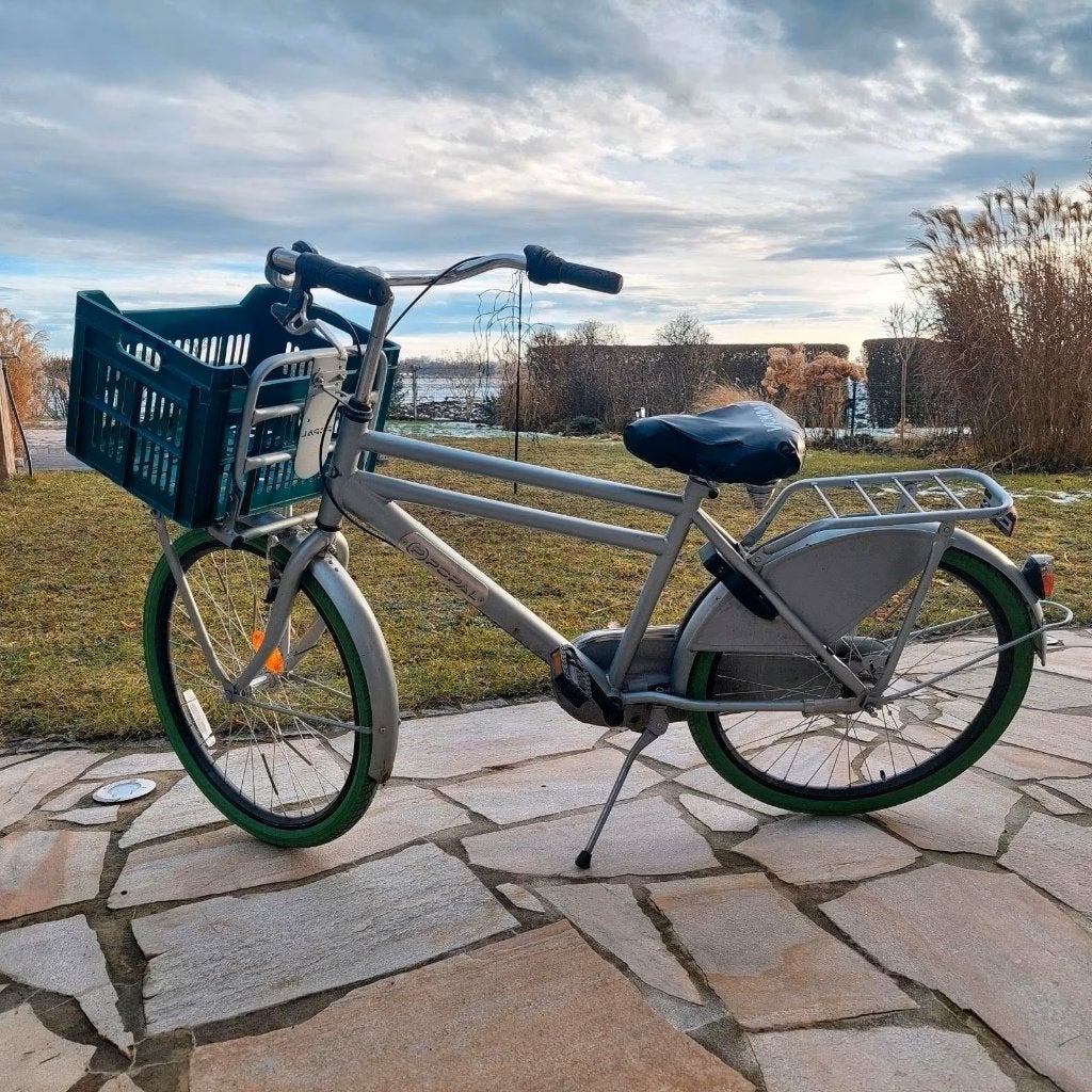 Popal Daily Dutch Basic 24" in bijzondere kleurcombi, Ophalen, Terugtraprem, Versnellingen, Popal