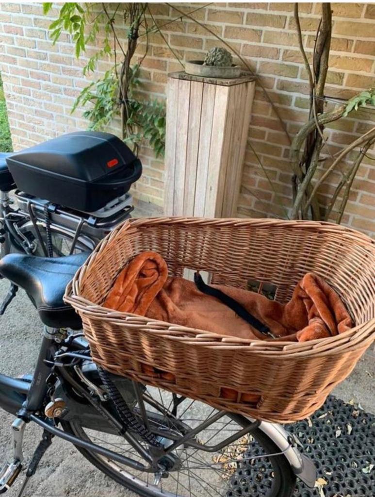 Honden fietsmand Fietsstoel voor hond, Dieren en Toebehoren, Hondenmanden, Ophalen of Verzenden, Zo goed als nieuw, Riet