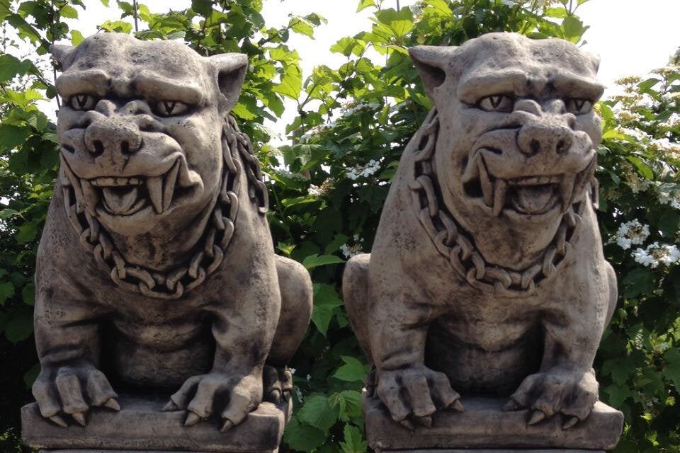 ‼️Bulldog 65kg hond Gargoyle Bullterriër OEB Helhond Bully‼️, Ophalen of Verzenden, Nieuw, Beton, Dierenbeeld