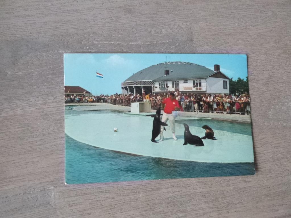Harderwijk, Dolfinarium 1972, Verzenden, 1960 tot 1980, Gelopen, Gelderland