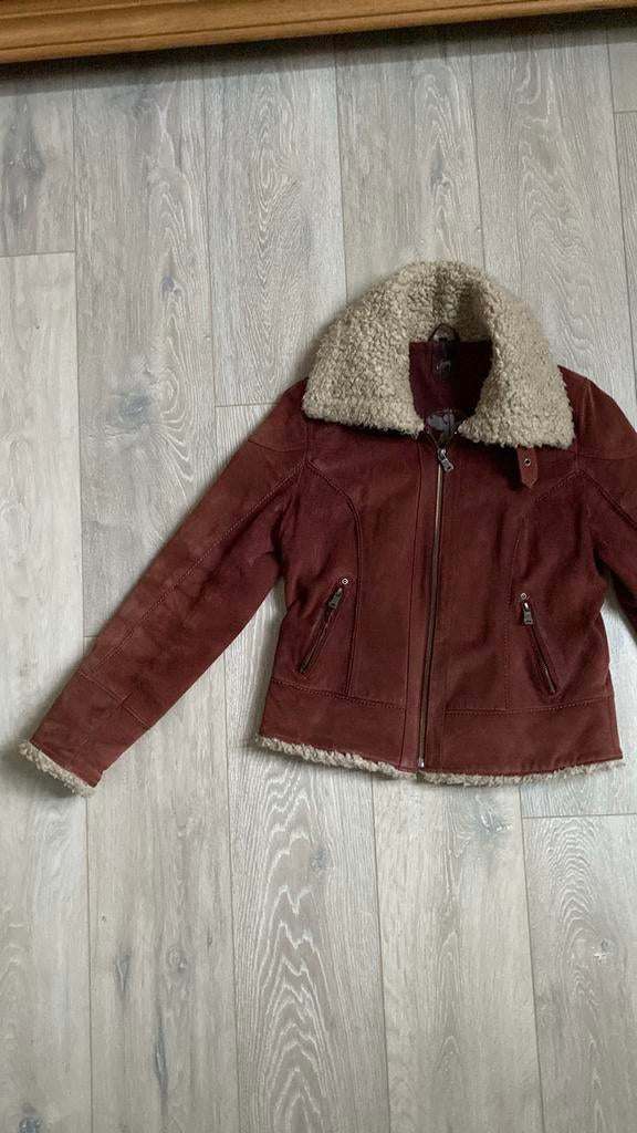 Suède bordeaux rode jas, Ophalen of Verzenden, Gedragen, Maat 38/40 (M), Rood