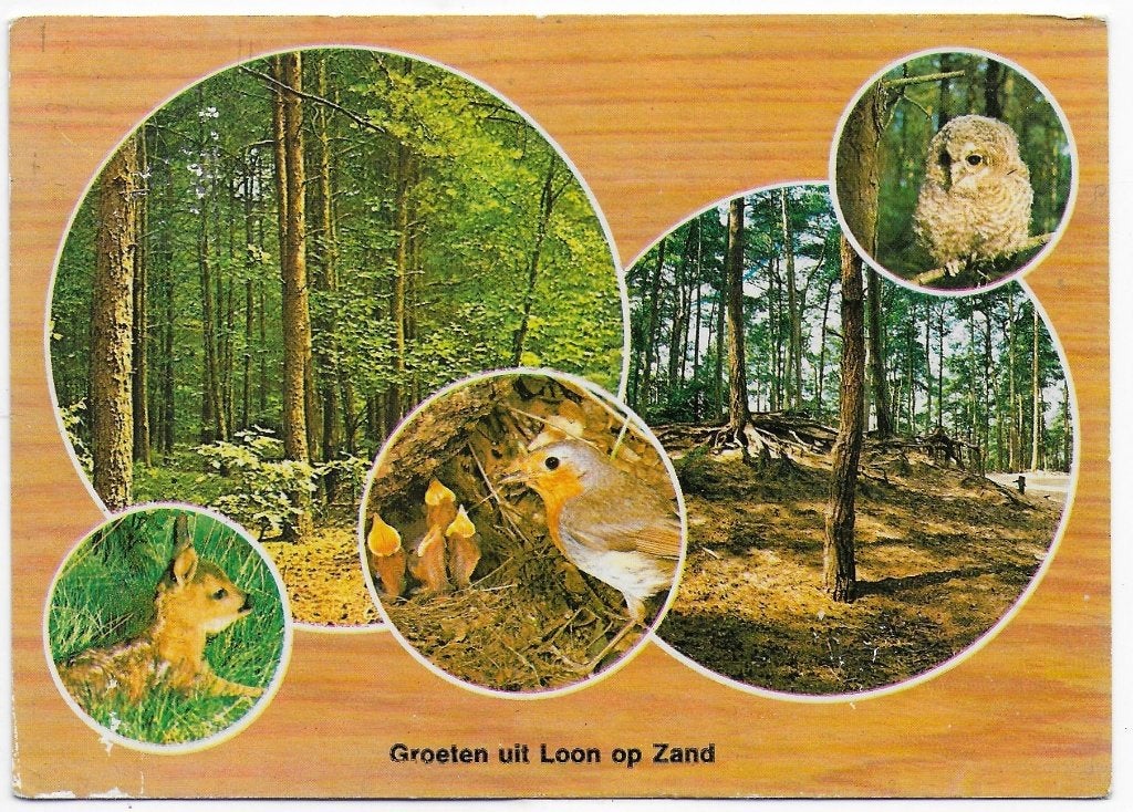 Loon op Zand Gelopen Ansichtkaart ( B6145 ), Ophalen of Verzenden, 1960 tot 1980, Gelopen