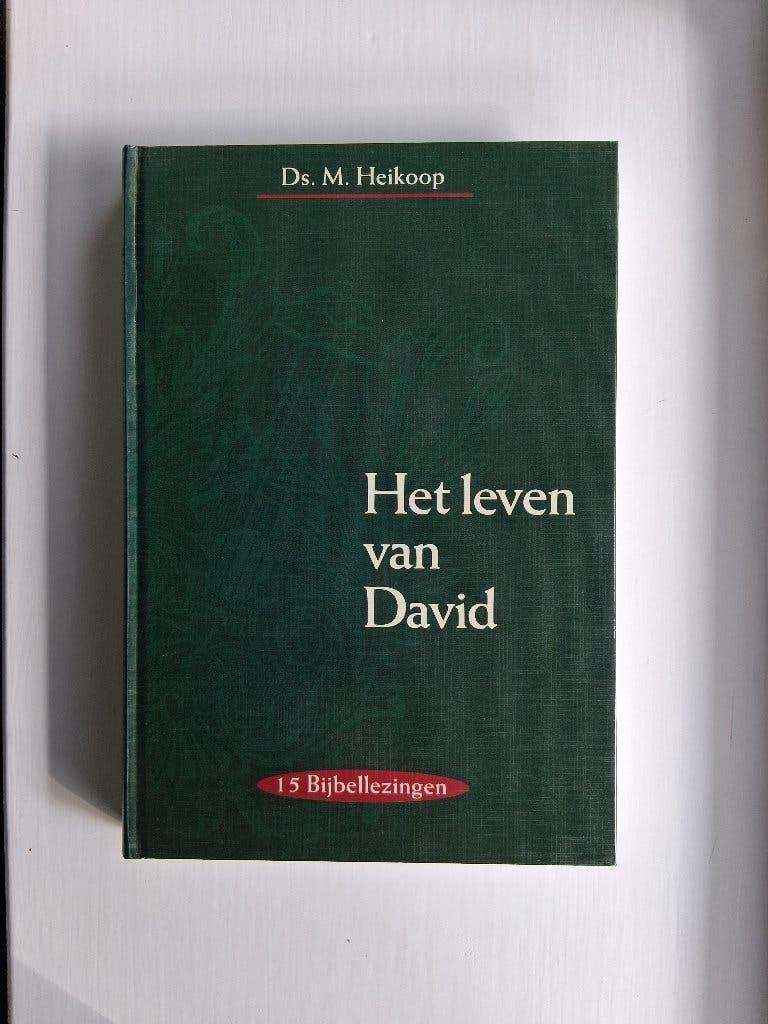 Het leven van David - ds. M. Heikoop, Boeken, Christendom | Protestants, Ophalen of Verzenden, Zo goed als nieuw, M. Heikoop