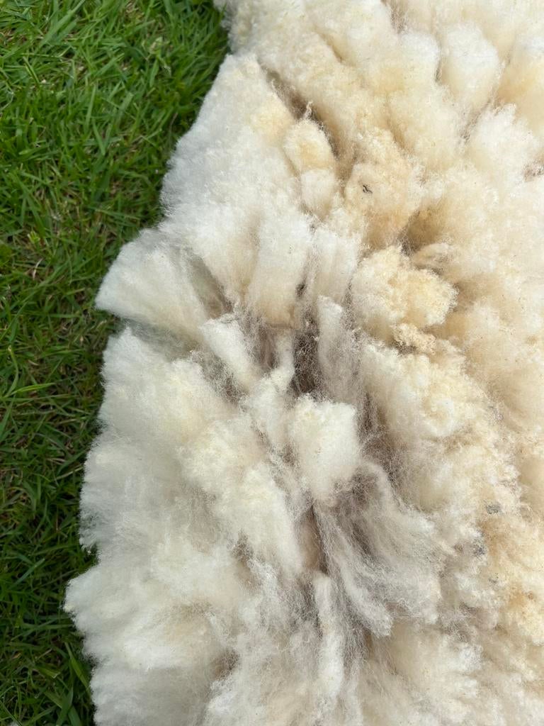 Schapenwol, Hobby en Vrije tijd, Spinnewielen en Spinnen, Ophalen, Zo goed als nieuw, Spinnewiel