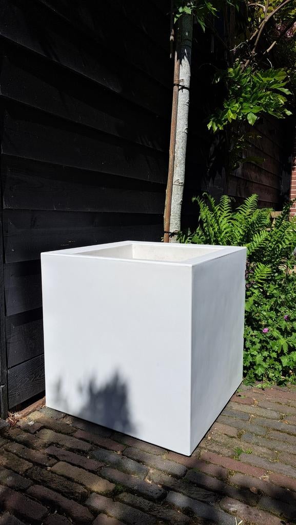 XXL Elho plantenbak | bloembak wit vierkant 58*58*58 cm, Ophalen, Kunststof