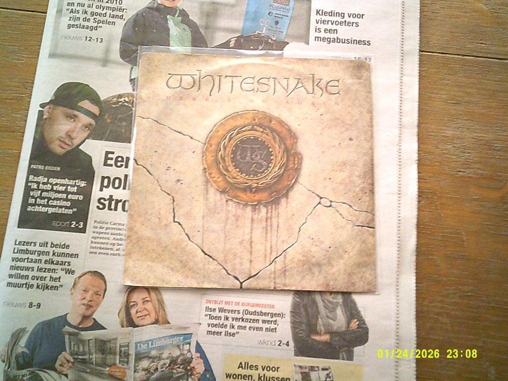 Whitesnake - Here I Go Again (7 inch single), 7 inch, 1980 - 1989, Ophalen of Verzenden, Fotohoes