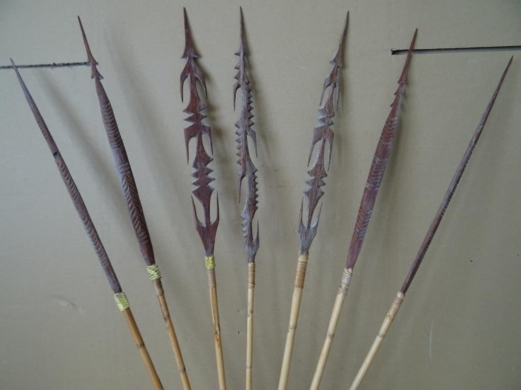 Inheemse pijlen gifpijlen Asmat Papoea Nieuw Guinea 64cm, Antiek en Kunst, Ophalen of Verzenden